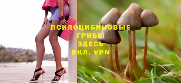 соль ск Арсеньев